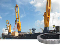 Slewing Ring Bearing for Cranes
