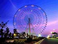 Slewing Ring Bearing for Ferris Wheels