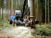 Rolamentos de giro para Máquina florestal