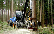 Slewing Ring Bearings for Forest Machines